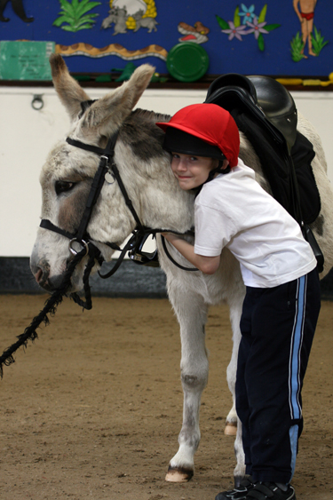 The Donkey Sanctuary's Donkey Assisted Therapy for kids. Photo credit The Donkey Sanctuary.  